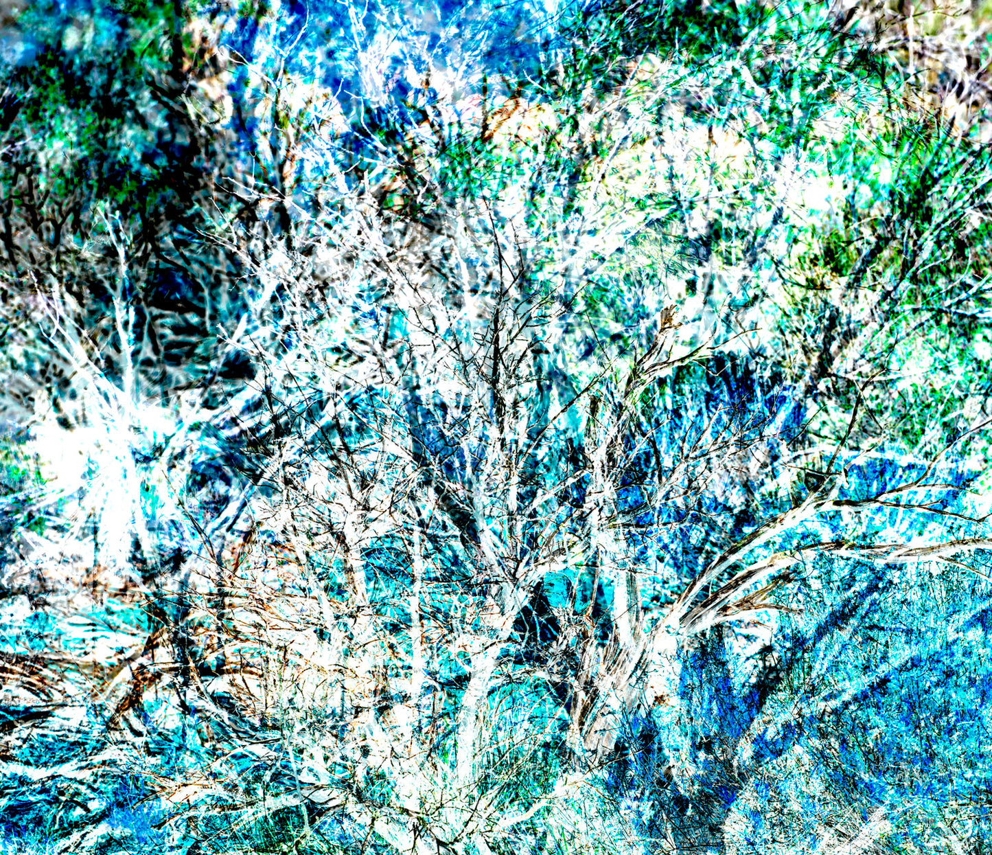Bushes 7