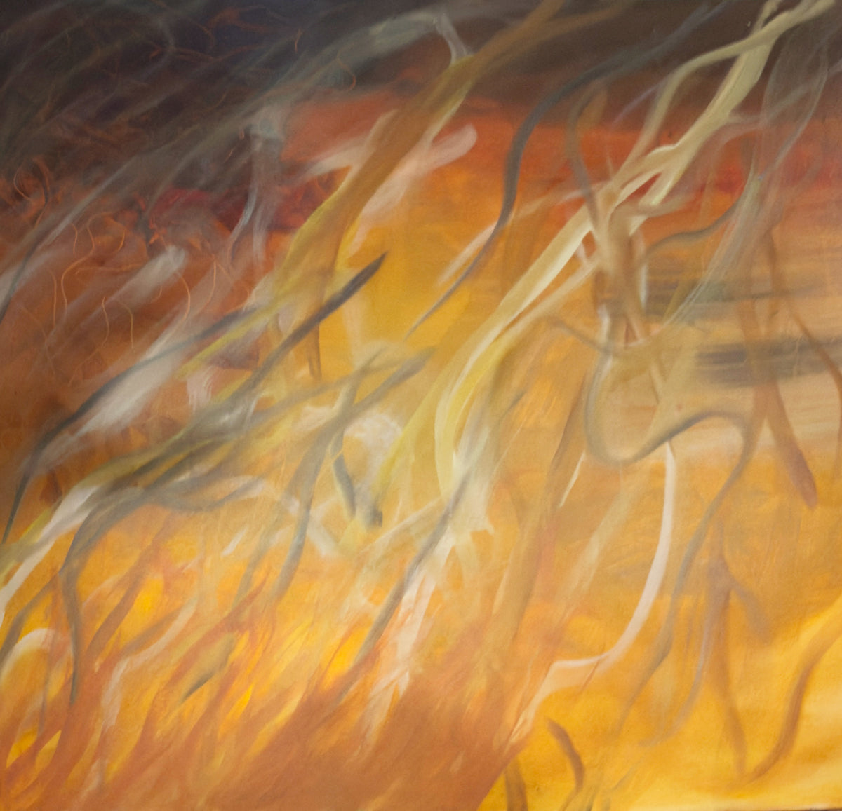 Desert Fire 1