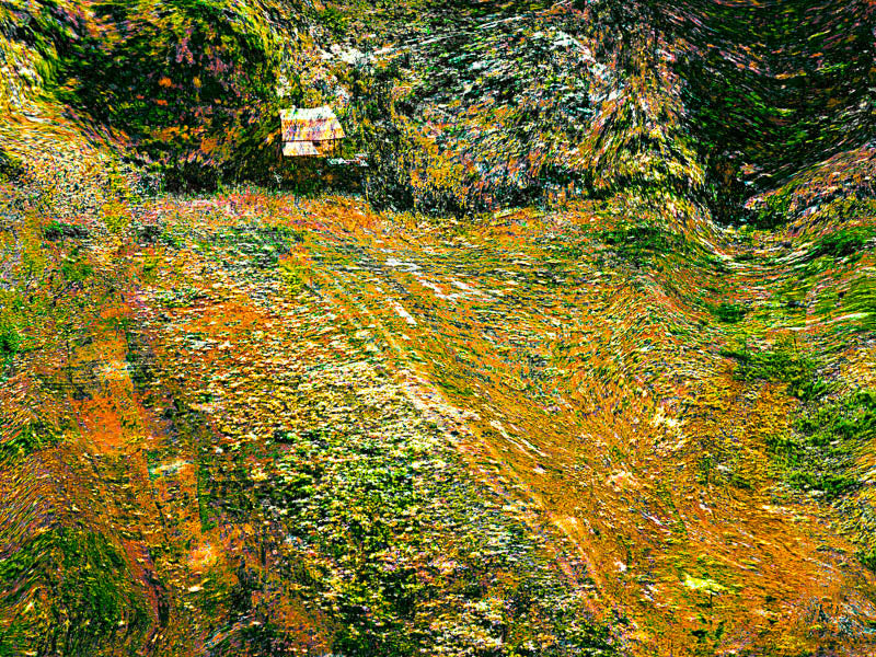 The Farm 1