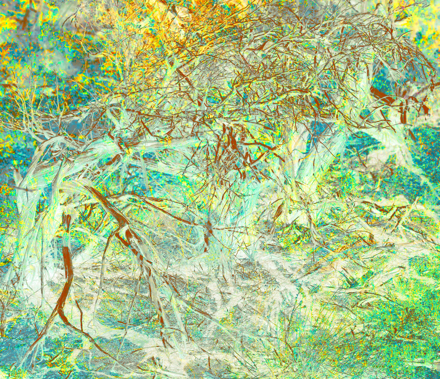 Bushes 6