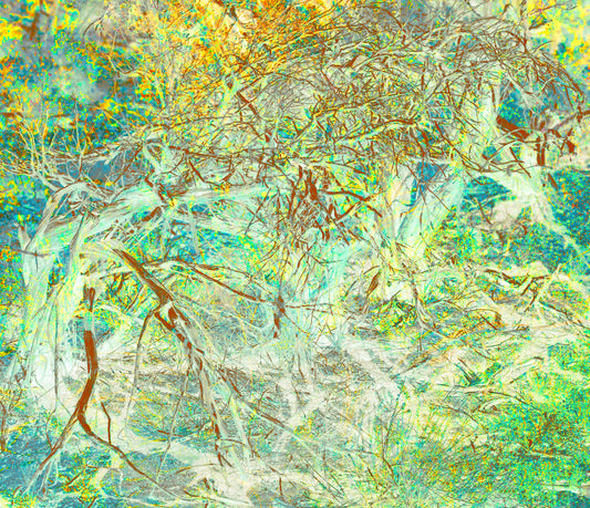 Bushes 6