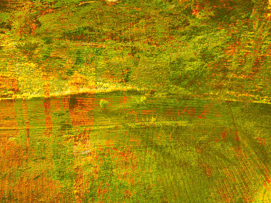 The Farm 10 (Copy)